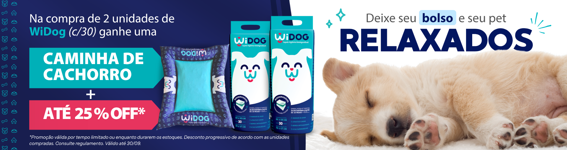 Banner Widog